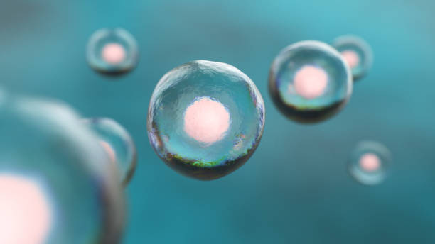 Embryonic Stem Cell stock photo