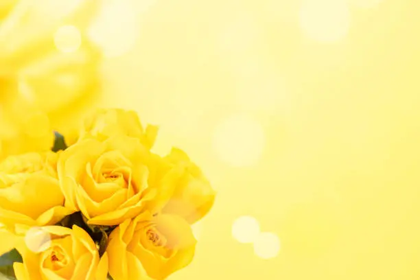 Photo of A bouquet of yellow roses. Flower background.