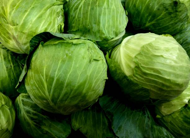 istock Heap of Cabbage Heads 1385599641