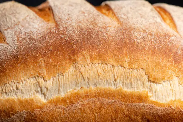 Freshly baked continental bread loaf dusted in white flour with five scores a crusty exterior and nice oven spring.