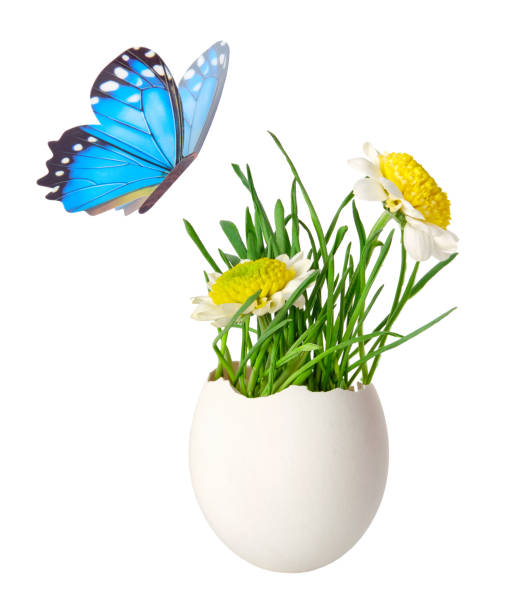Hand painted easter eggs: focus on the two eggs in the  middle!