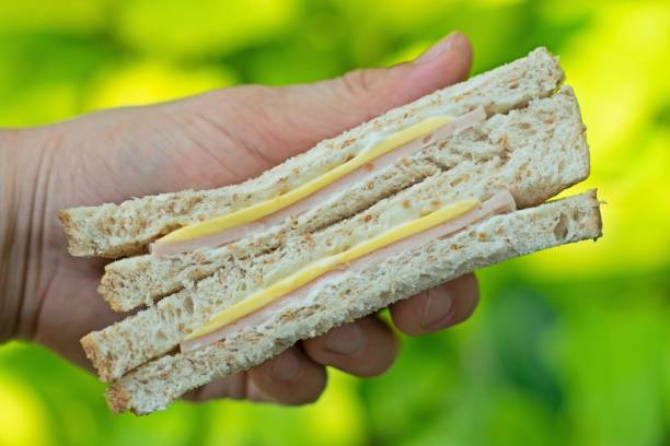 istock Hand holding Ham and Cheese Sandwich - green background. 1385613321