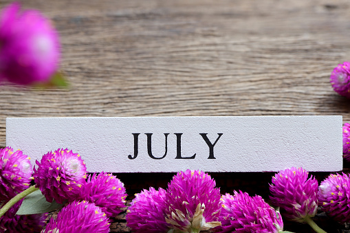 July text on white wood block and globe amaranth or gomphrena globosa flowers on old wooden background. Hello July and summer season concept.