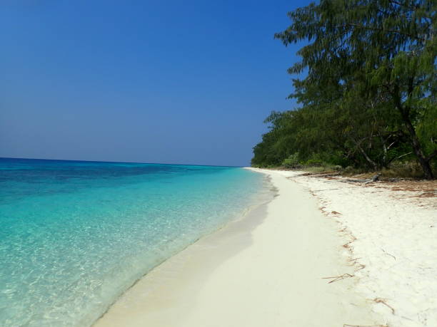 istock Jaco Island in East Timor 1385621937