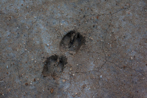 istock Gray background with cracks and hollows 1385624441
