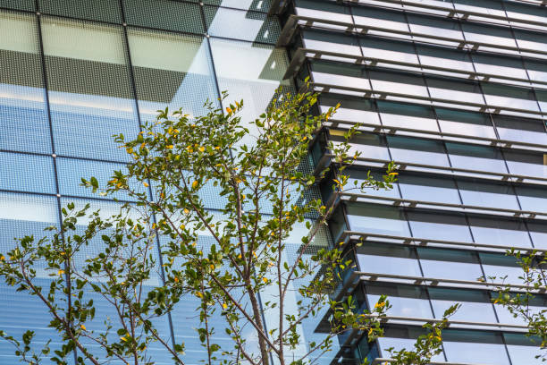 istock modern office building with green trees 1385625615