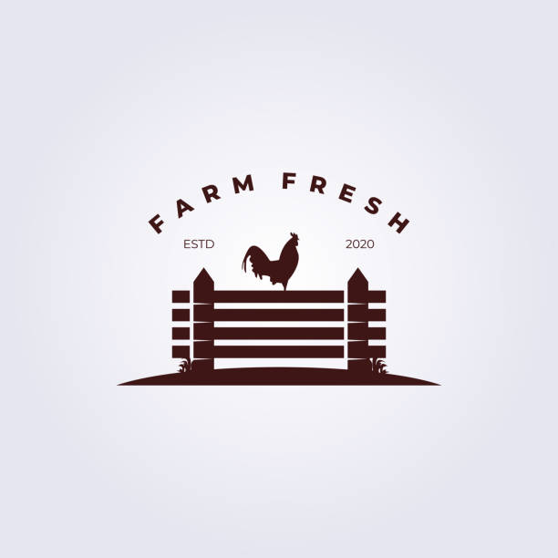 bauernhof frischer hahn auf zaun logo vektor illustration design - poultry stock-grafiken, -clipart, -cartoons und -symbole