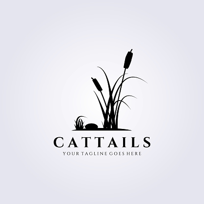 cattail grass logo vector illustration design, flat vintage