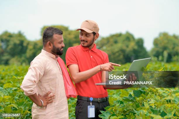Young Indian Agronomist Showing Information To Farmer In Laptop At Green Agriculture Field Stock Photo - Download Image Now