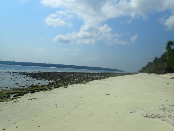 istock Jaco beach in East Timor 1385626855