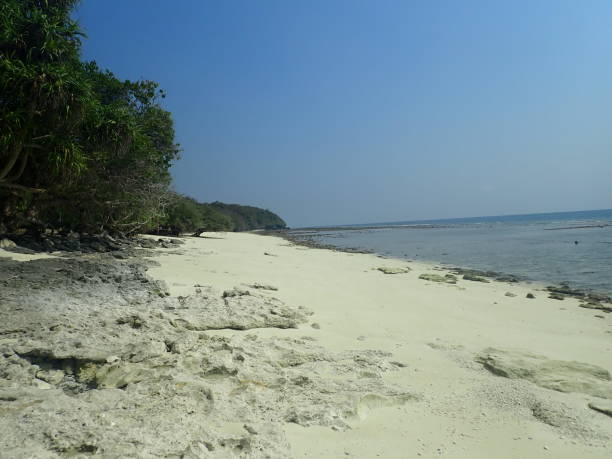 istock Jaco beach in East Timor 1385626877