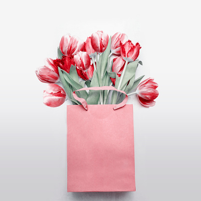 Red tulips bouquet in paper shopping bag on  light gray background. Festive spring flowers bunch. Floral gift composing. Springtime holiday , greeting or sale concept. Copy space for your design