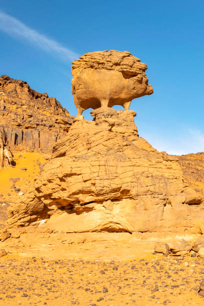 istock Huge hedgehog naturally shaped rock 1385633637