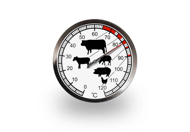 istock Meat thermometer isolated on a white background with soft shadow. The thermometer shows 81 degrees 1385635678