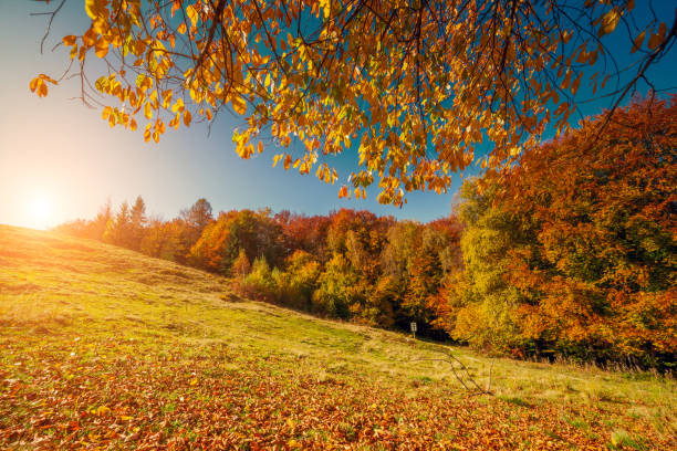 istock Majestic autumn landscape 1385636198