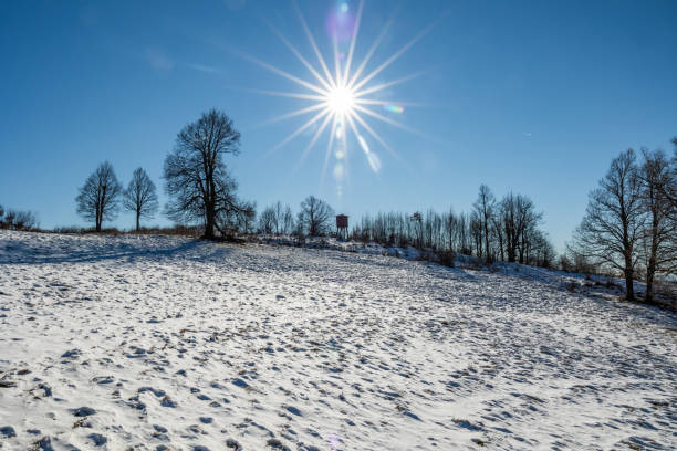 istock Panoramic view in backlight of a hillside with the ground covered with white snow at daytime during winter season and with clear weather and blue sky 1385637173