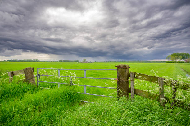Nord Germany | Island of Foehr | Landscape | Village