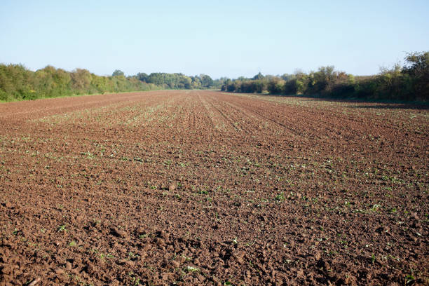 Ploughed brown field, Germany stock photo