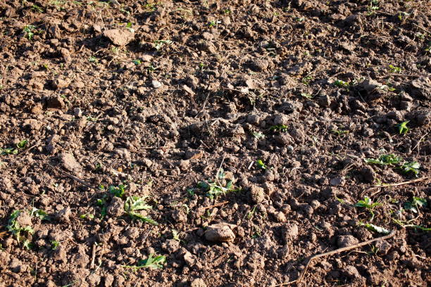 Ploughed brown field, Germany Ploughed brown field, Germany erde stock pictures, royalty-free photos & images