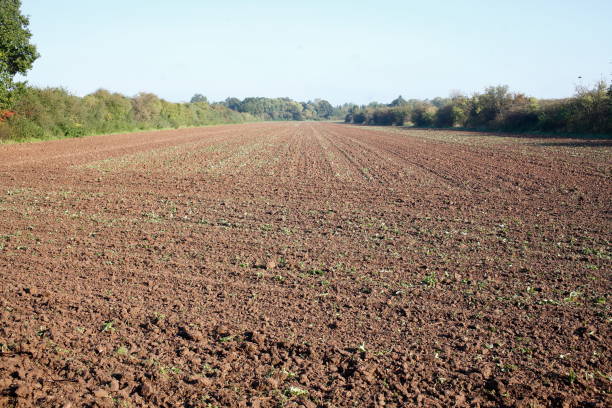 Ploughed brown field, Germany Ploughed brown field, Germany erde stock pictures, royalty-free photos & images