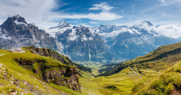 ótima vista da colina alpina. localização lugar alpes suíços, vale grindelwald. - interlaken mountain meadow switzerland - fotografias e filmes do acervo