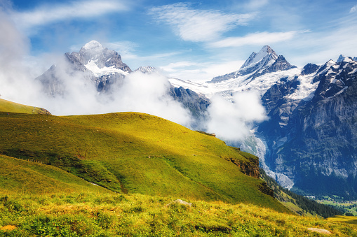 Great view of alpine snowy hills. Picturesque and gorgeous scene. Popular tourist attraction. Location place Swiss alps, Grindelwald valley, Bernese Oberland, Europe. Discover the world of beauty.