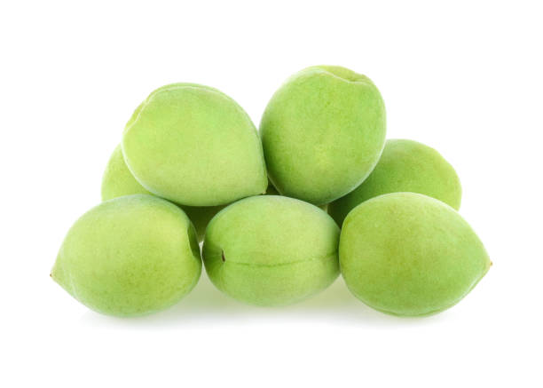 istock green plum fruit isolated on white background 1385646118