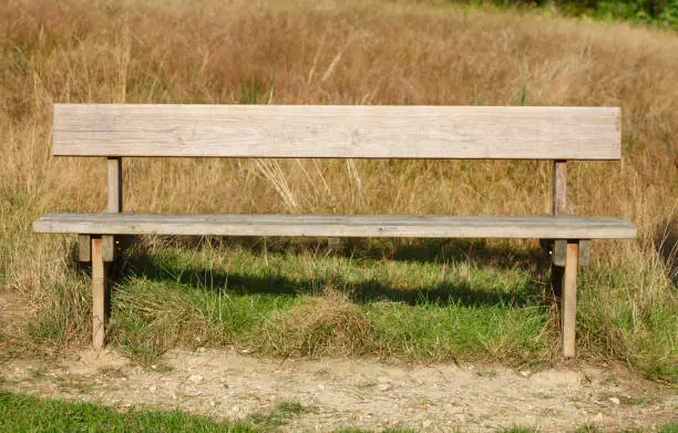 Wooden bench on a meadow
