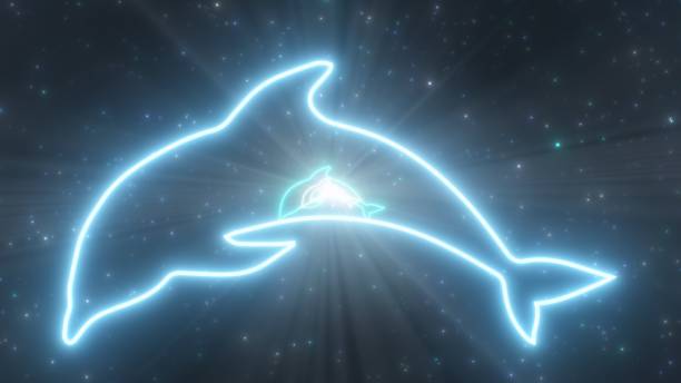 Illustration of a dolphin jumping with a splash