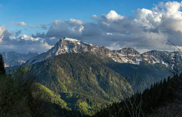close up view of a beautiful mountain landscape at sunset during spring season, gray and white cumulus clouds passing above the mountainpeaks, green coniferous forests extending along the mountainsides, Paularo, Friuli Venezia Giulia, Italy