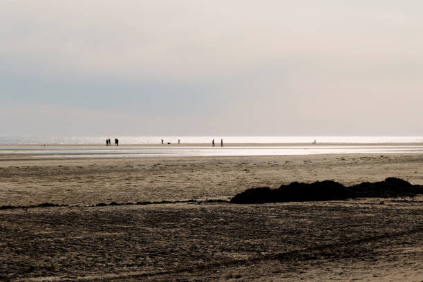 istock distant and unrecognizable people walking on the beach in the afternoon with low tide 1385658486