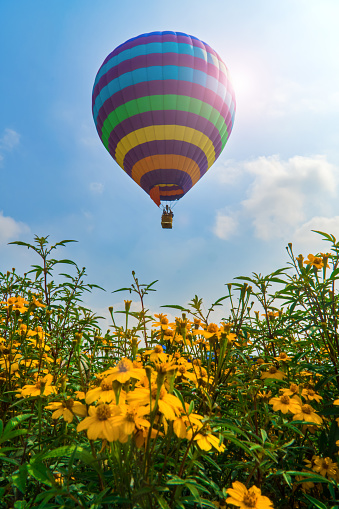 Enjoying flowers and scenery in hot-air balloons