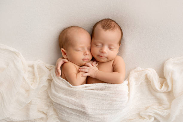 tiny newborn twins boys in white cocoons on a white background. a newborn twin sleeps next to his brother. newborn two twins boys hugging each other.professional studio photography - eeneiige tweeling stockfoto's en -beelden