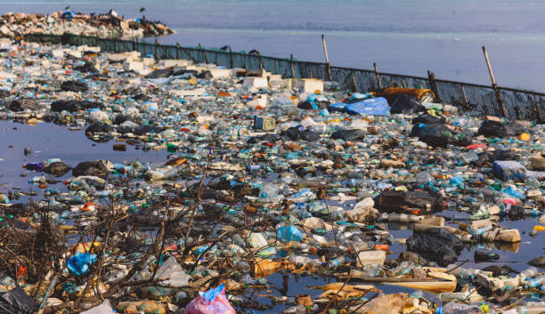 istock Ecological Problem from Fuming Waste Dump on the Coastline of Maafushi Island 1385663013