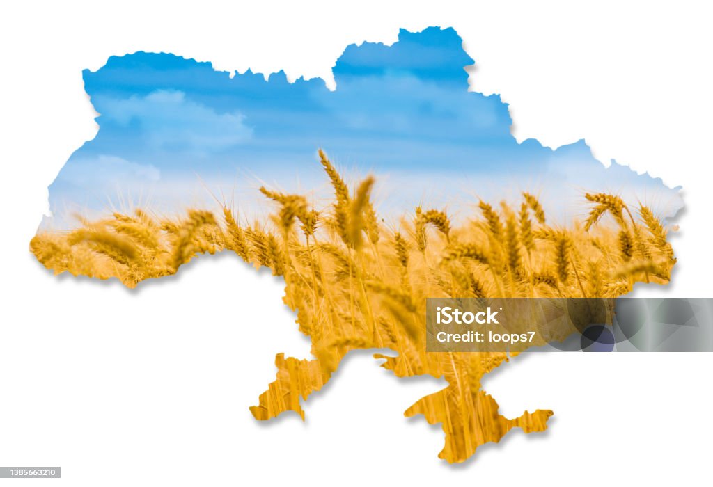 Ukraine Ukraine Map on White Wheat Stock Photo