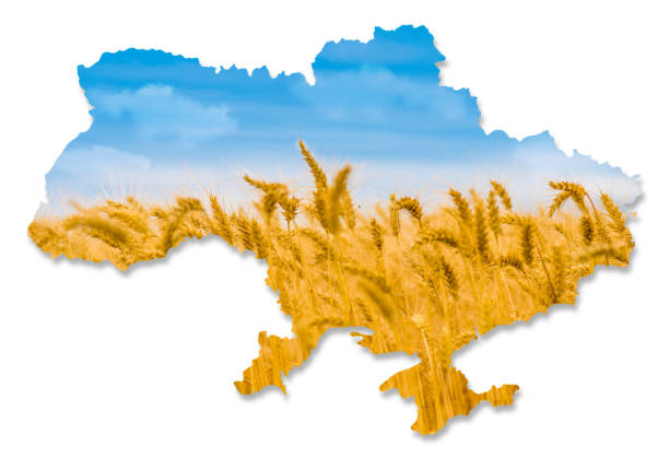 Ukraine Ukraine Map on White donetsk photos stock pictures, royalty-free photos & images