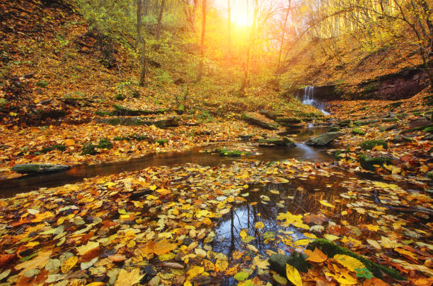 istock Vivid view of the unique waterfall in day light. 1385664624