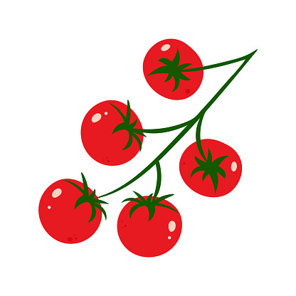 Vector illustration of fresh cherry tomatoes. Whole ripe red cherry tomatoes on white background. Cartoon illustration. Fresh red Vegetable, Vegetarian, vegan Healthy organic food, icon, logo