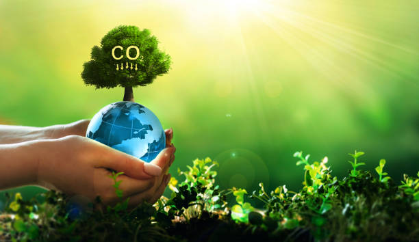 istock Reduce CO2 emission concept. Renewable energy-based green businesses can limit climate change and global warming. Clean and environmentally friendly environment without carbon dioxide emissions. 1385668125