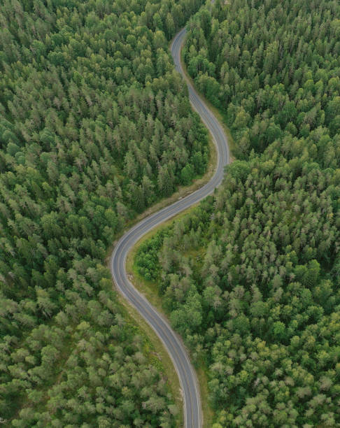 istock Curve road through a forest. Aerial view. 1385677750