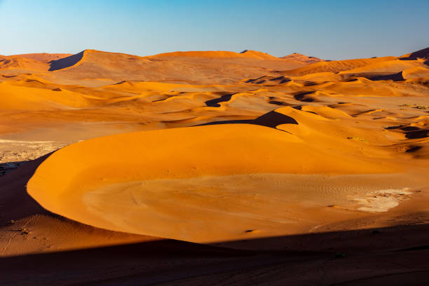 istock Arid dry landscape Hidden Vlei in Namibia Africa 1385680018