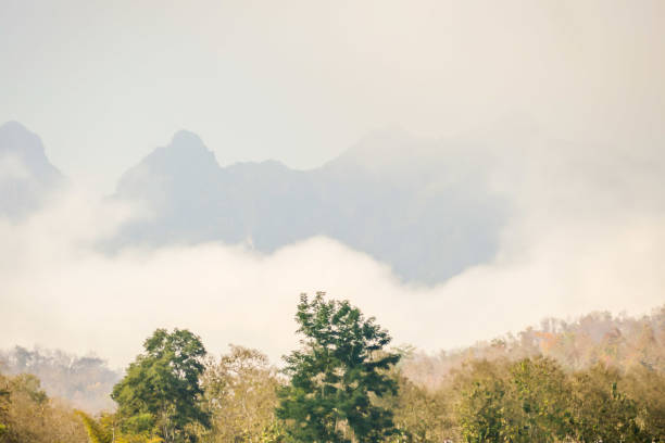 istock fog in mountains, digital photo picture as a background 1385680338