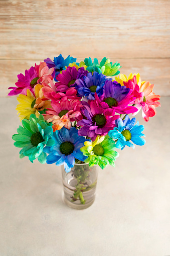 Rainbow Chrysanthemum flower bouquet, selective focus. Abstract floral background greeting card design