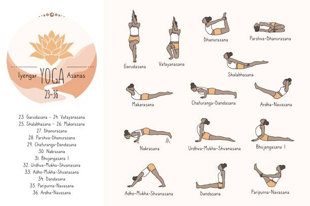Hand drawn Iyengar yoga poses, 23-36 Hand drawn hatha yoga poses and their Sanskrit names, Iyengar yoga asanas 23-36 garudasana illustrations stock illustrations