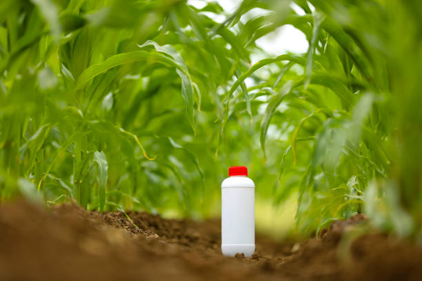 schutz der pflanzen vor schädlingen und krankheiten. pestizidflasche auf dem landwirtschaftlichen feld. - spraying agriculture farm herbicide stock-fotos und bilder