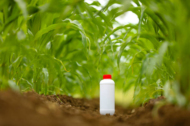 protection des cultures contre les ravageurs et les maladies. bouteille de pesticide dans un champ agricole. - spraying agriculture farm herbicide photos et images de collection