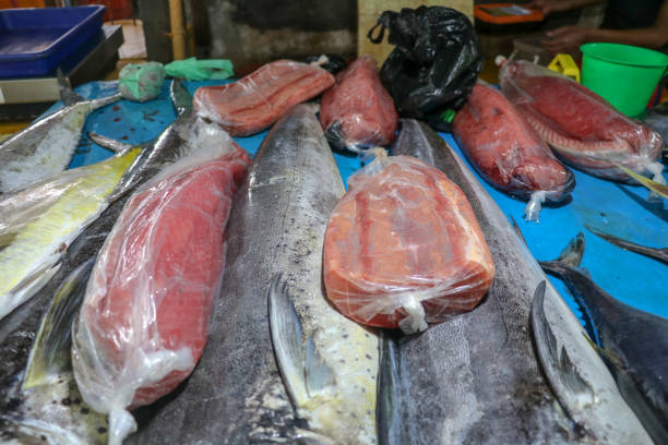 verkauf von frischem fisch auf der touristenattraktion lokalen markt in jimbaran, bali island. frischer fisch zu verkaufen. dorado delphinfisch auch bekannt als mahi-mahi oder coryphaena hippurusl auf der arbeitsplatte. - coryphaena stock-fotos und bilder