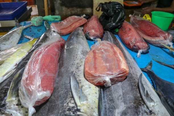 venta de pescado fresco de marisco en el mercado local de atracción turística en jimbaran, isla de bali. pescado fresco a la venta. pez delfín dorado también conocido como mahi-mahi o coryphaena hippurusl en la encimera. - coryphaena fotografías e imágenes de stock