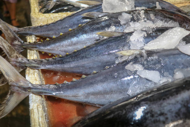 свежая рыба на продажу. дельфины тунца и дорадо, также известные как махи-махи или корифаэна хиппурусль на столешнице рыбного рынка. пасар и - coryphaena стоковые фото и изображения