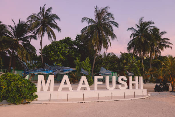 istock White Stone Letters for Maafushi Island Designation with Nice Palm Trees during the Sunset Time 1385682812